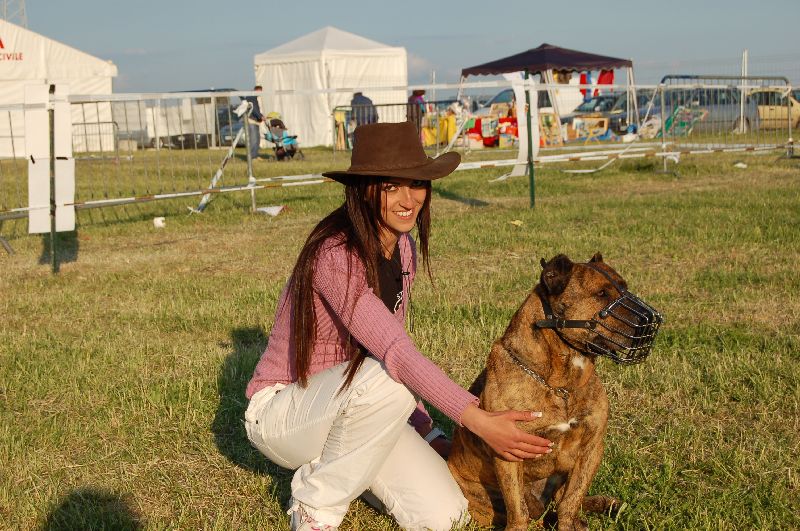 Francesca e Mohack Perro da Presa Prop. All.to Cave Canem.JPG - Click to close this window